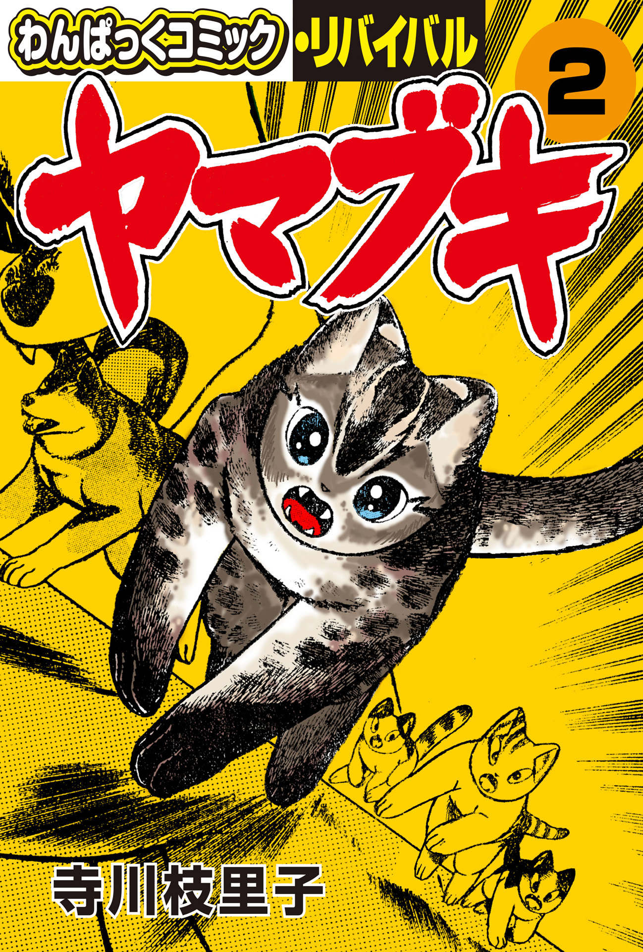 Yamabuki Ryou Color Cover image
