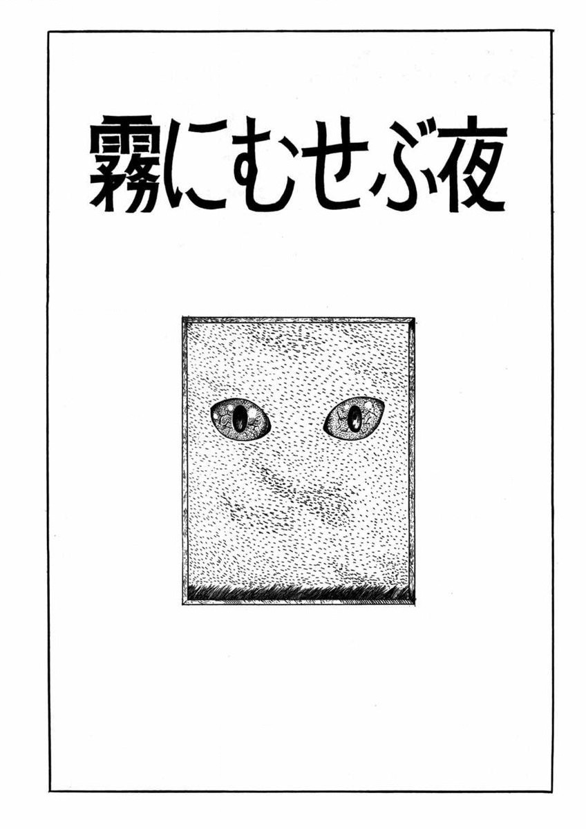 cover-image