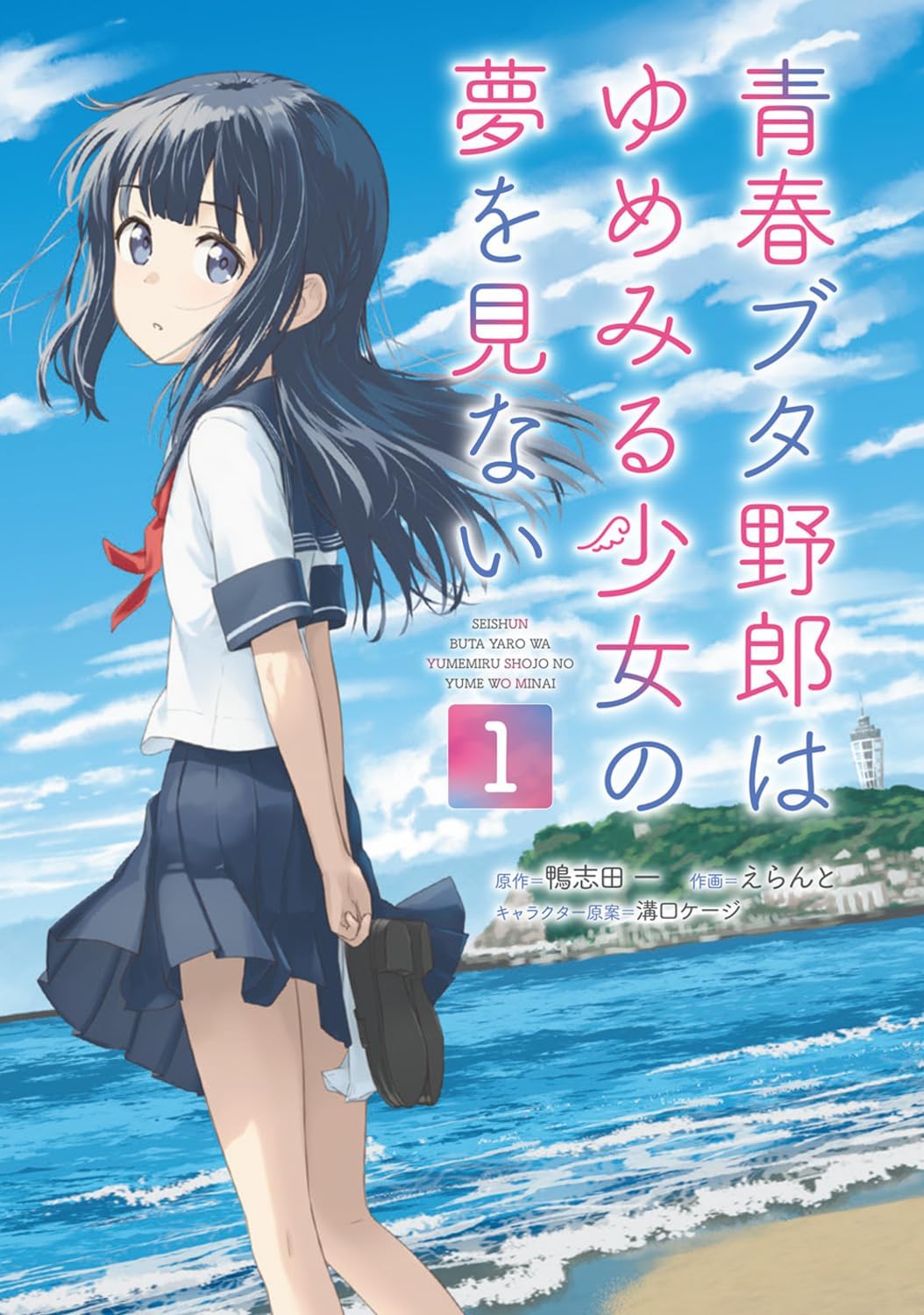 Seishun Buta Yarou wa My Student no Yume wo Minai – Japanese Book