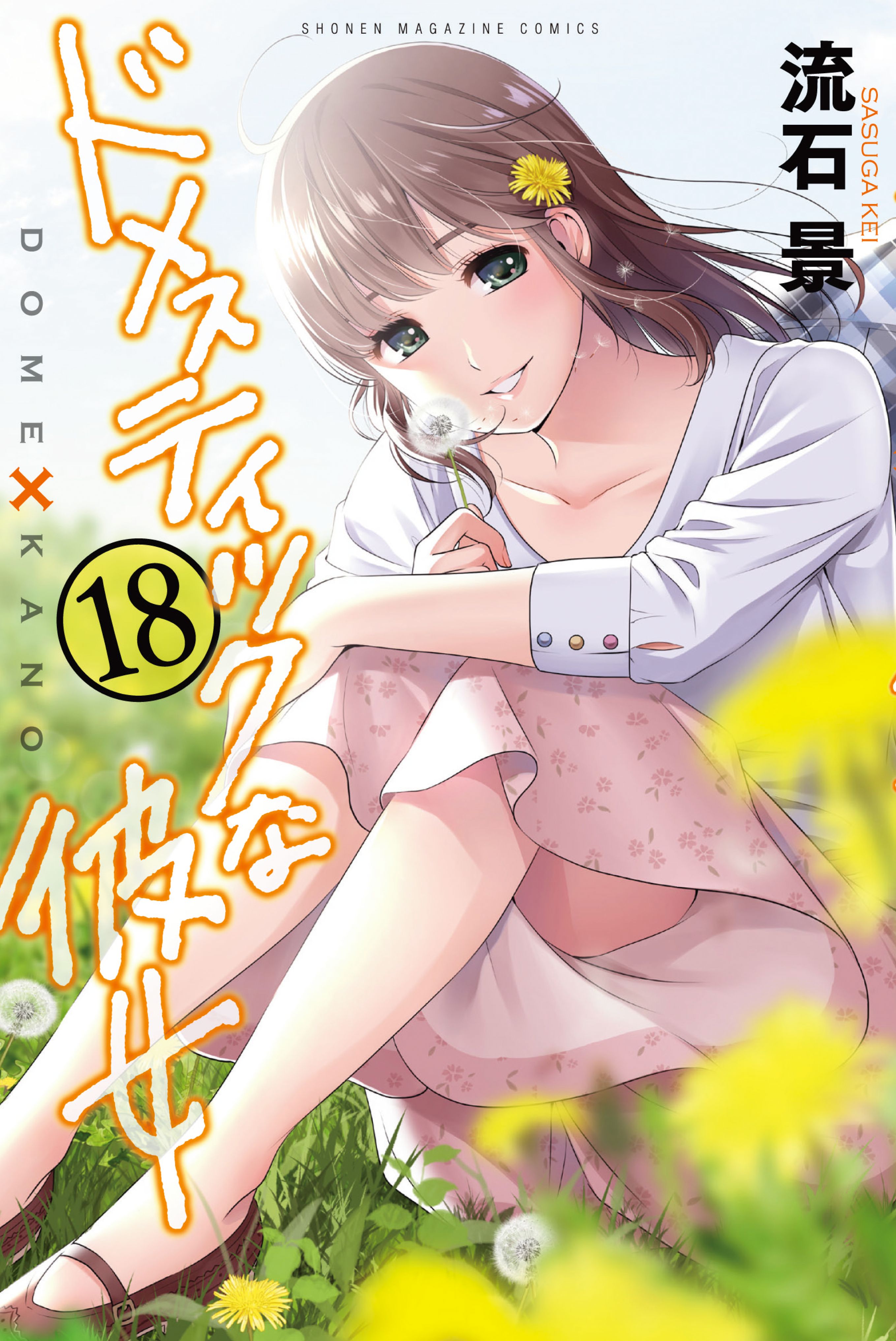 Domestic Na Kanojo Manga (Volumes 1-19) : Kei Sasuga : Free Download,  Borrow, and Streaming : Internet Archive