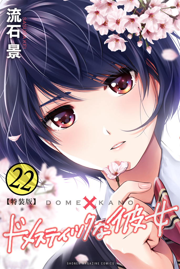 Domestic Girlfriend, Volume 20