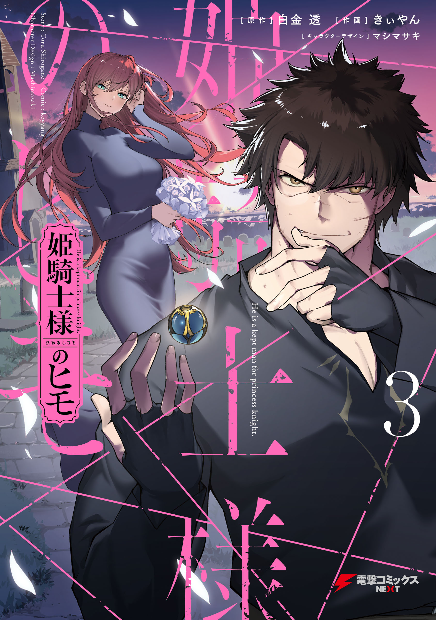 Kept Man Of The Princess Knight Cover image