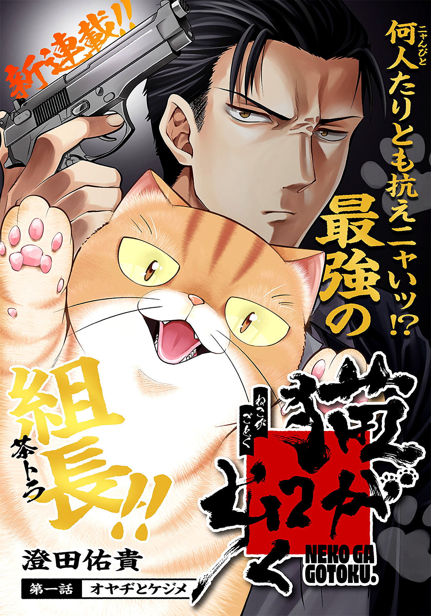 A Man and His Cat Manga Volume 1