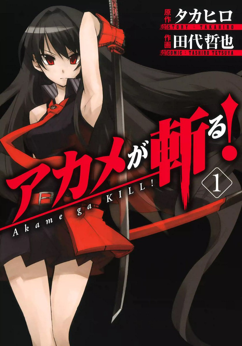 170 Akame Ga Kill ideas  akame ga kill, akame ga, killing