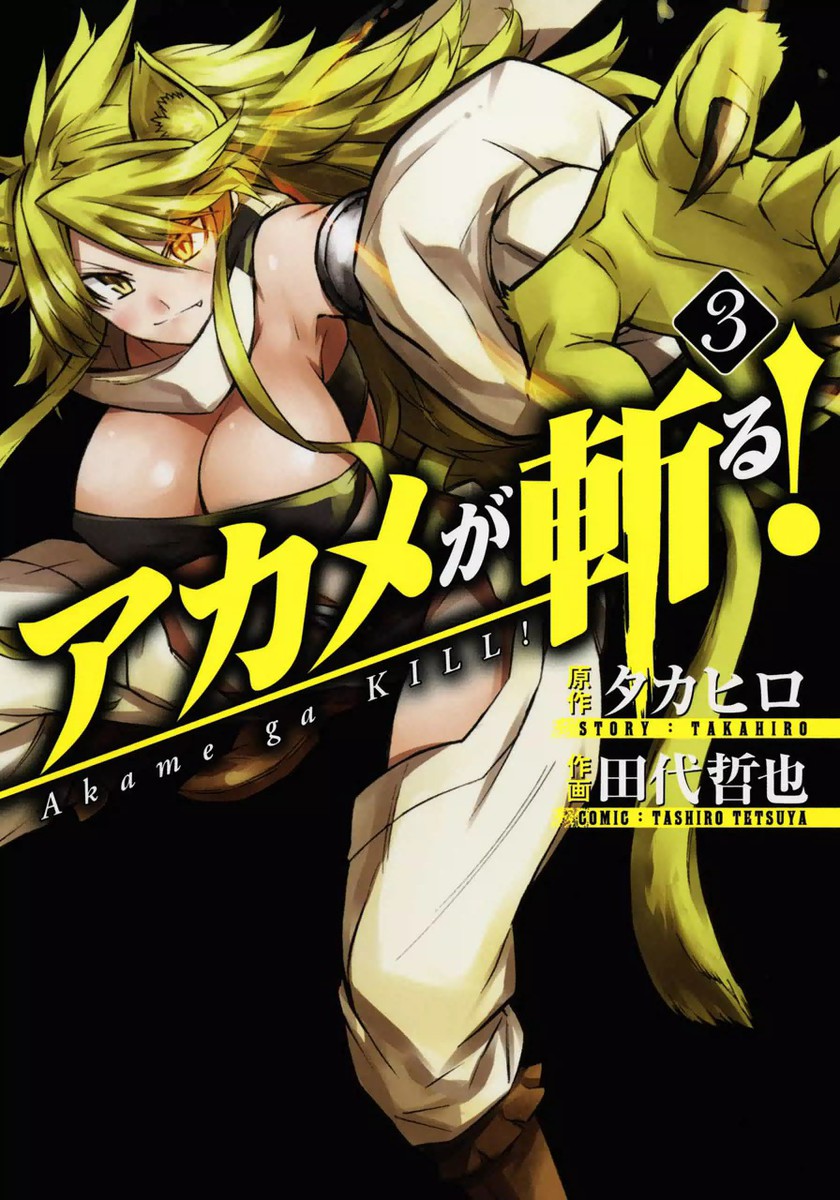 Akame Ga Kill Vol.2