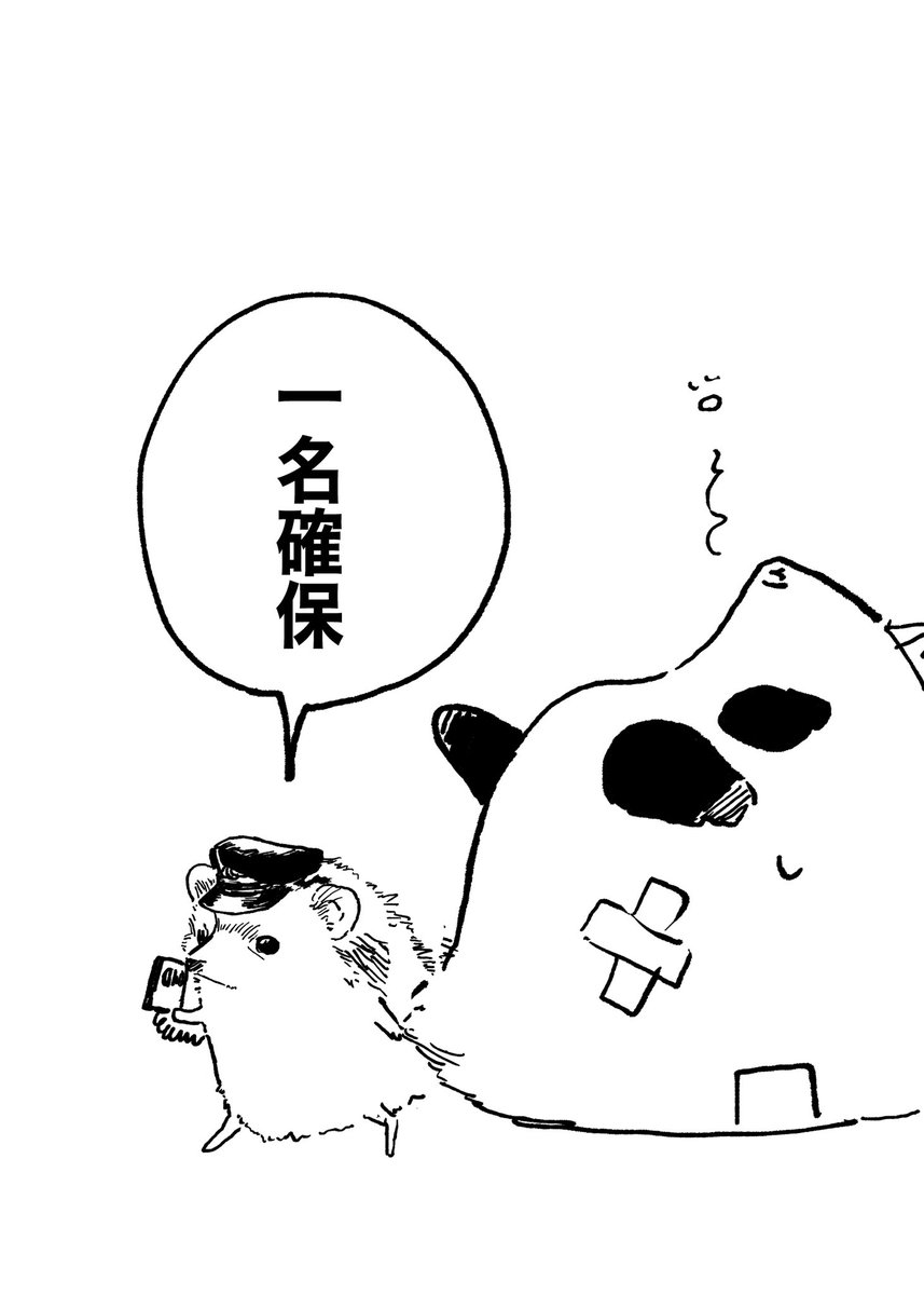 cover-image