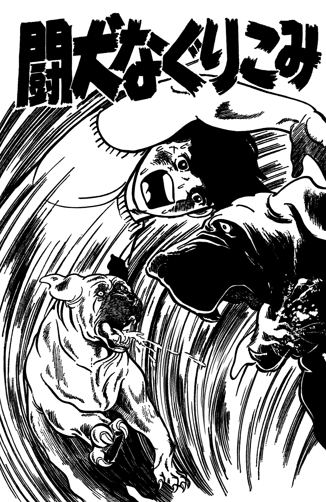 cover-image