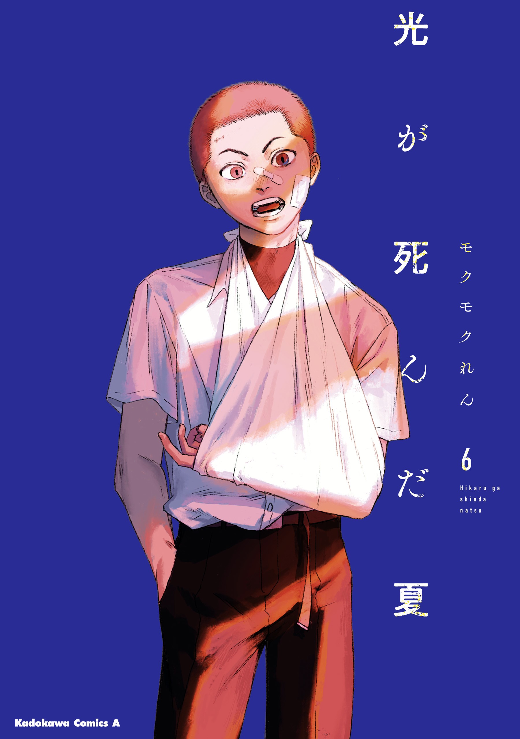 The Summer Hikaru Died Age Rating Cover image