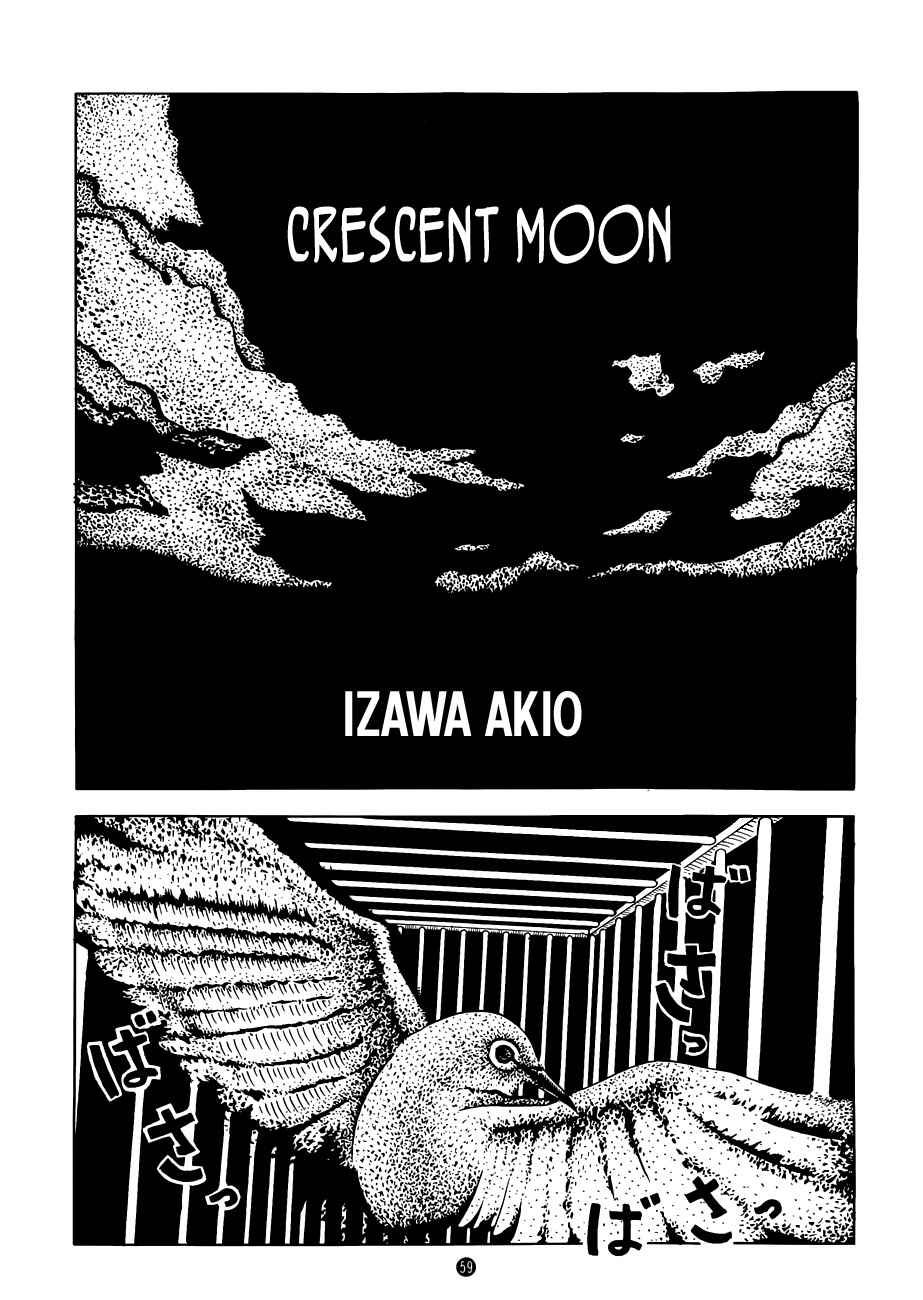 cover-image