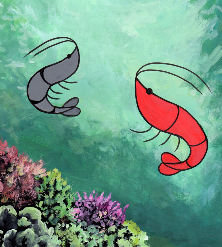 cover-image