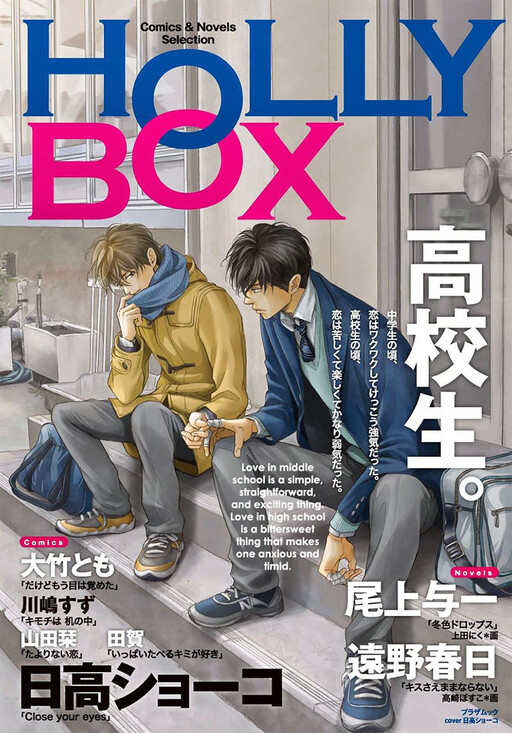⑨BL本まとめ売り　ボーイズラブコミックス　BOYS LOVE COMICS 29 BL本まとめ売り ボーイズラブコミックス BOYS LOVE COMICS