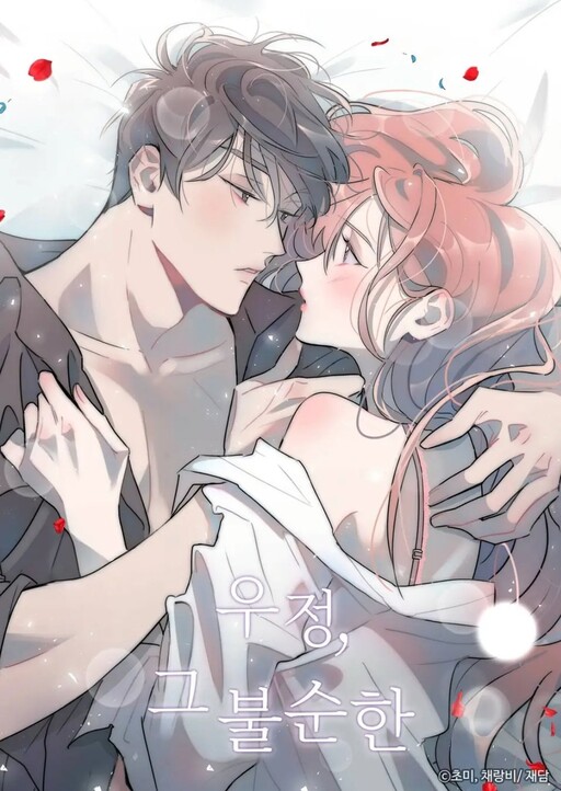 The Impure Type Of Friendship Novel Cover image