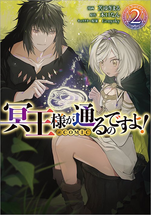 Meiou sama Ga Tooru No Desu Yo Novel Cover image