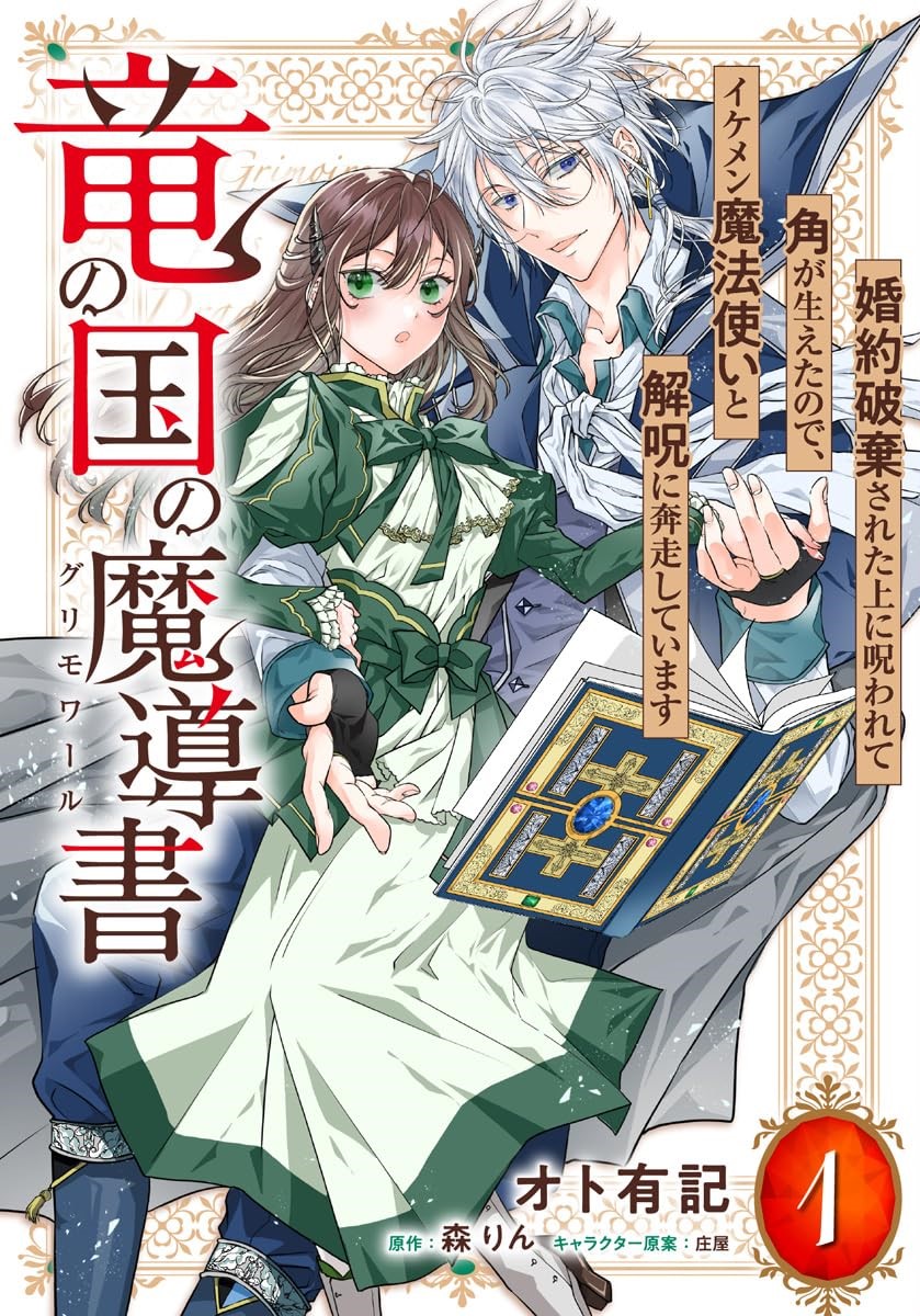 魔法使い3狂狩猟白狼ジェロット魔人狩り Ryuu no Kuni no Grimoire - Konyaku Hakisareta Ue ni