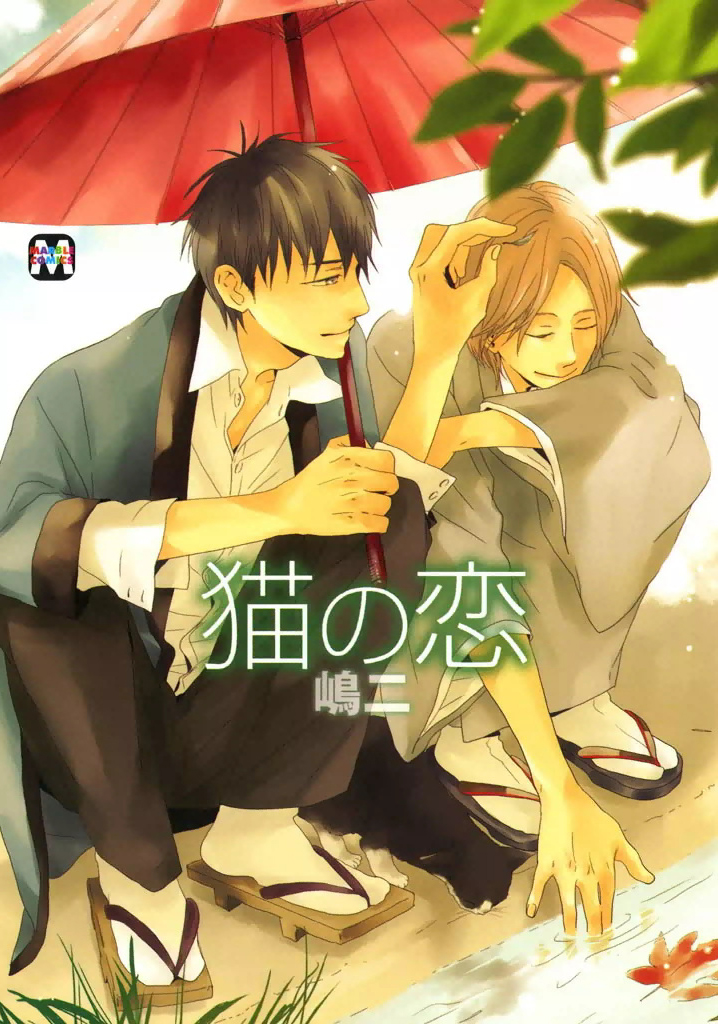 cover-image