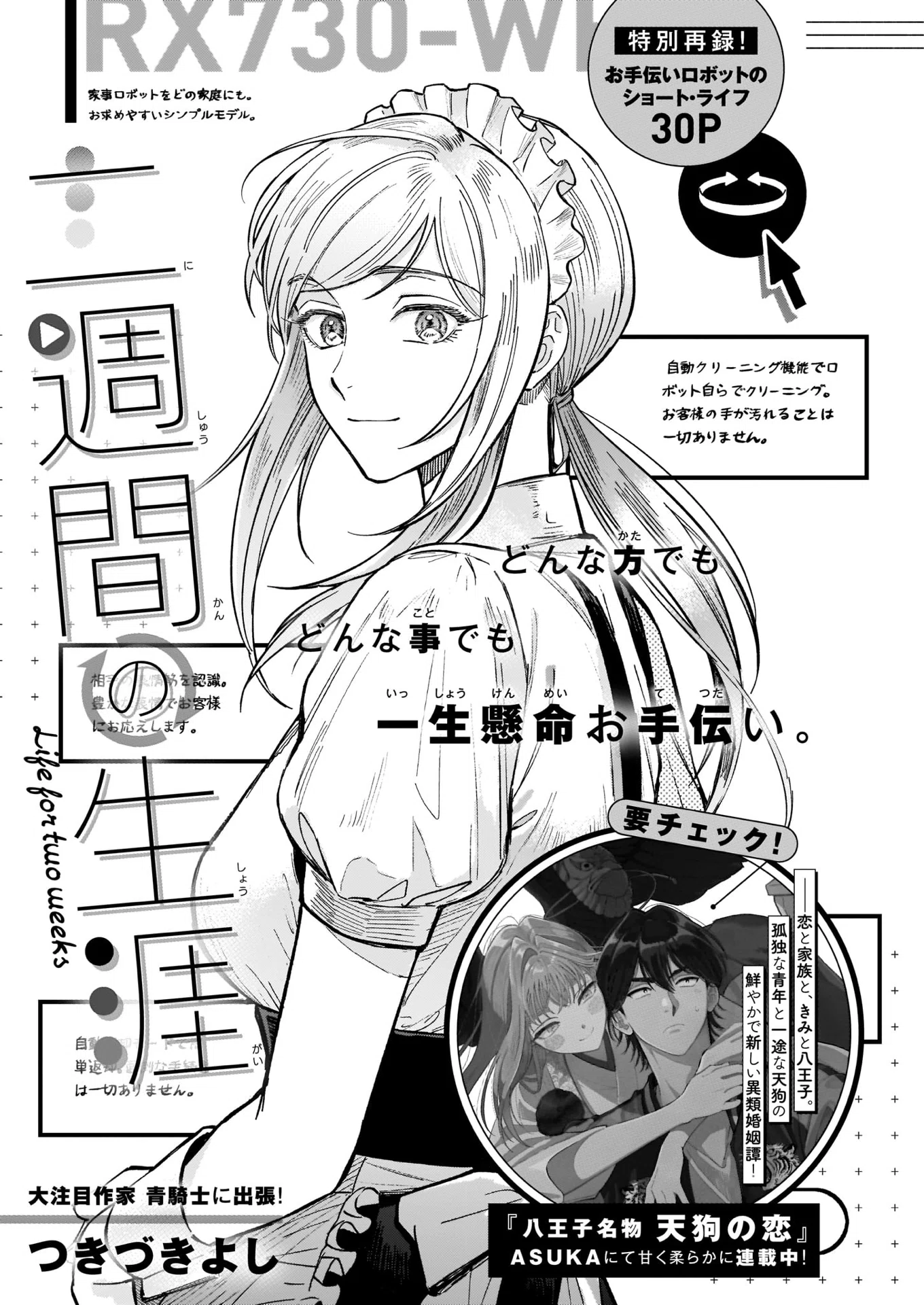 Cover Image cover-image